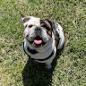 Meet your Posher, Ava